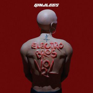 Electro bros Vol 2