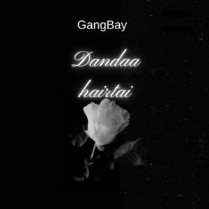 Dandaa hairtai