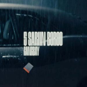 5 sariin boroo