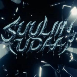Suuliin udaa