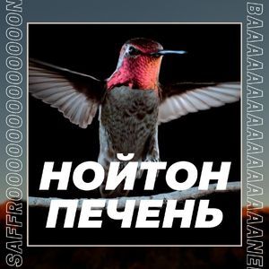 НОЙТОН ПЕЧЕНЬ 