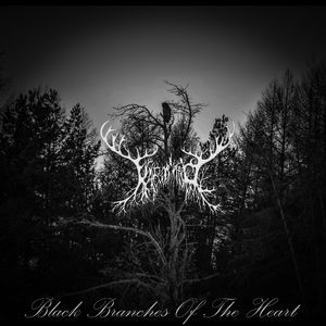 Black branches of the heart 