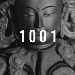 1001 