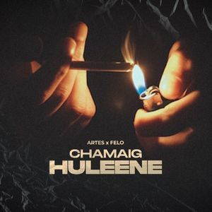 Chamaig huleene x Artes