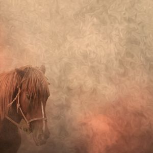 Галзуу багын улаан - Эрдэнэ Уул 