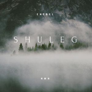 SHULEG 