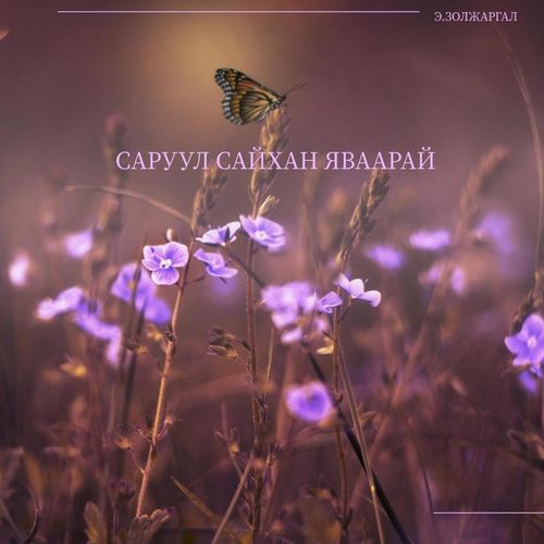 Саруул сайхан яваарай