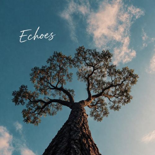 Echoes