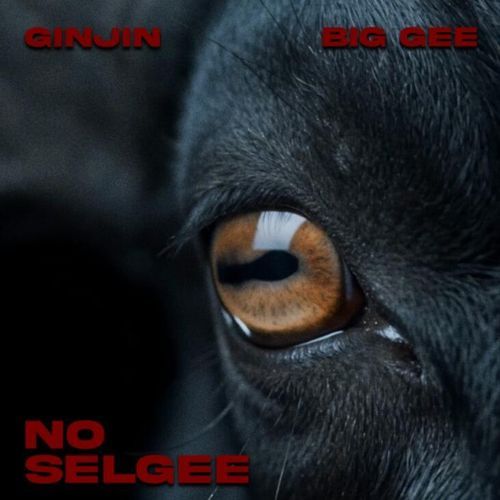 No Selgee