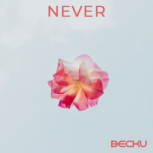 NEVER