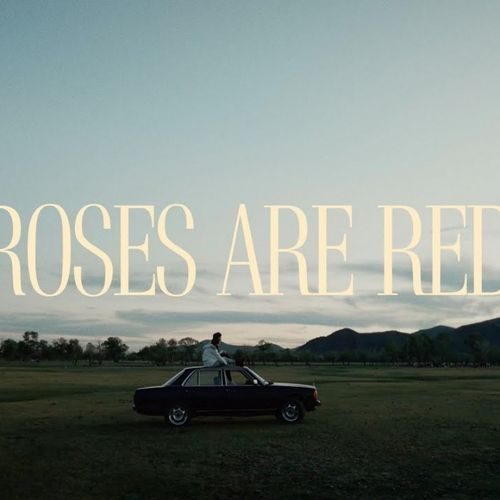 Roses are red