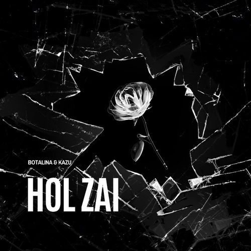 HoL Zai