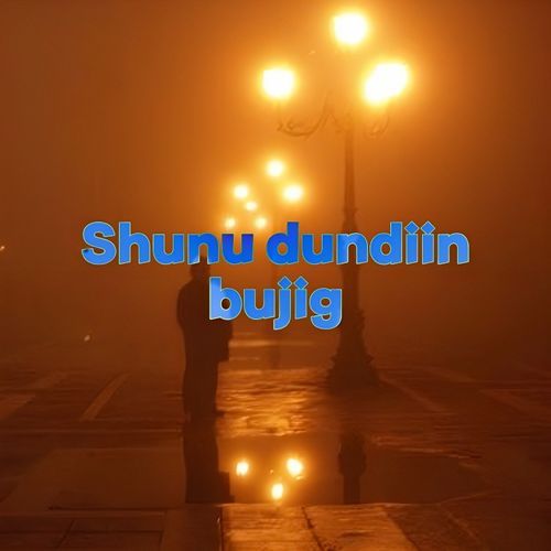 Шөнө дундын бүжиг