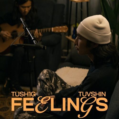 Feelings