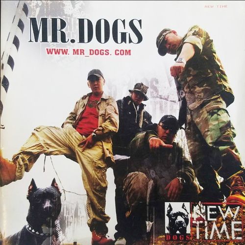 Mr.Dogs